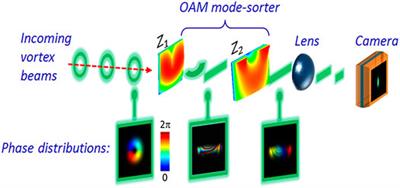 Exploring for New Insights in the Performance of a 3D Orbital Angular Momentum Mode-Sorter